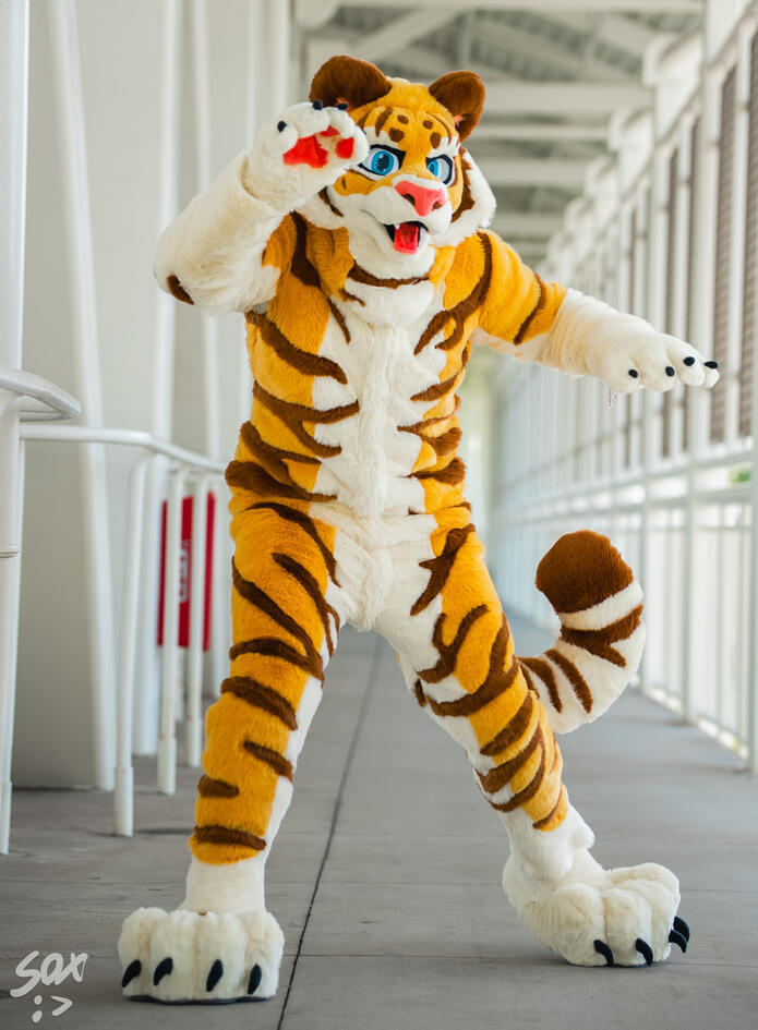 Wowzers- fullsuit